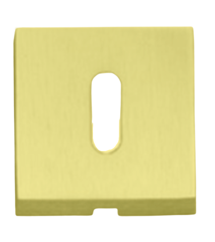 ROSETA NORMAL 50Q PVD